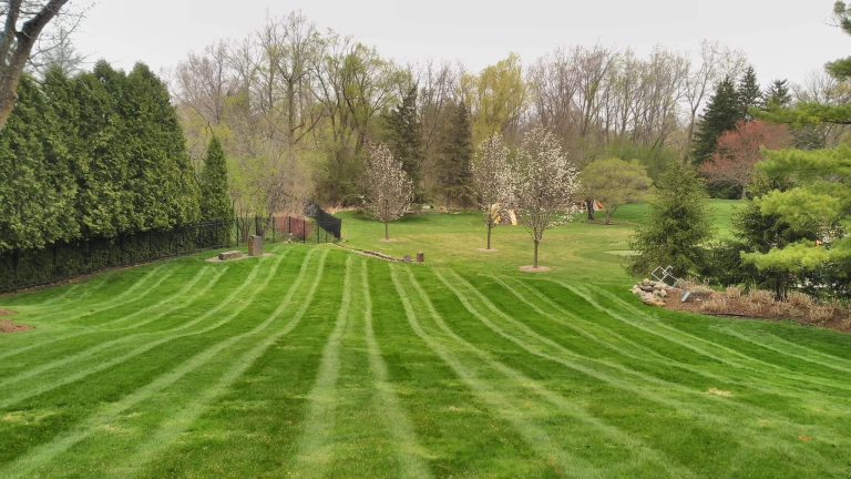 Maintaining Landscapes That Flourish Year After Year