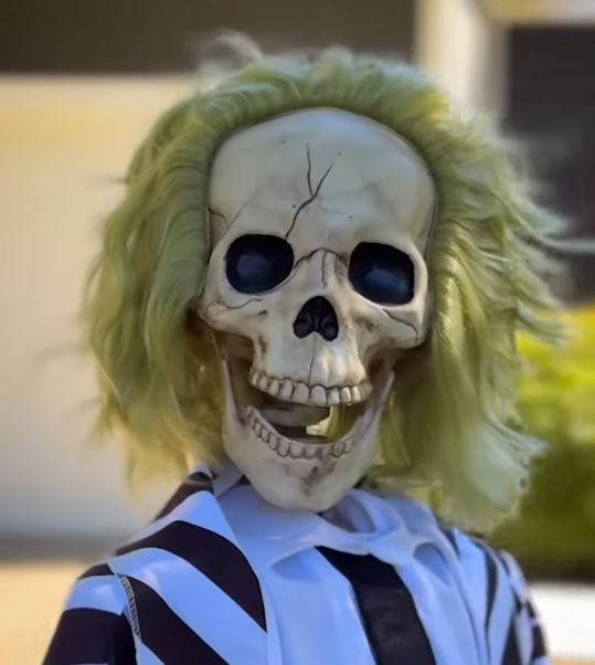 Happy Halloween from All of Us at Andy’s Landscape Services!