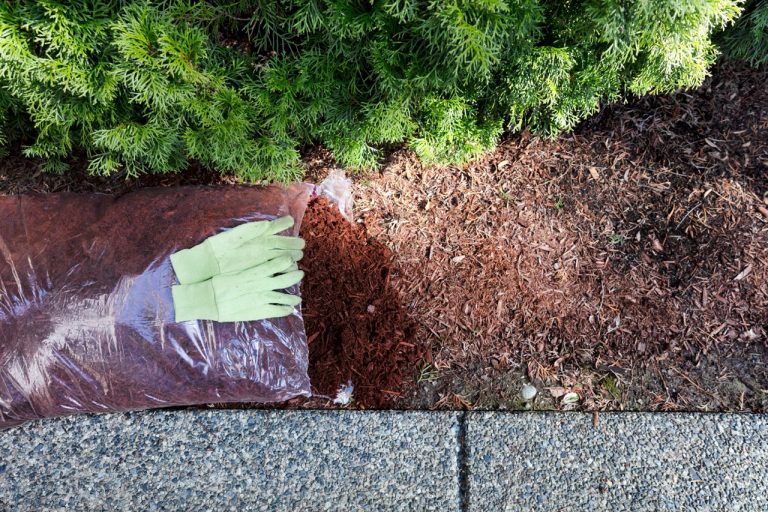 Why Spring Mulching Matters More Than Most Homeowners Think