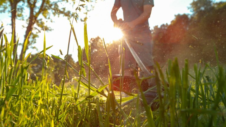 Lawn Maintenance Tips for Busy Metro Detroit Homeowners