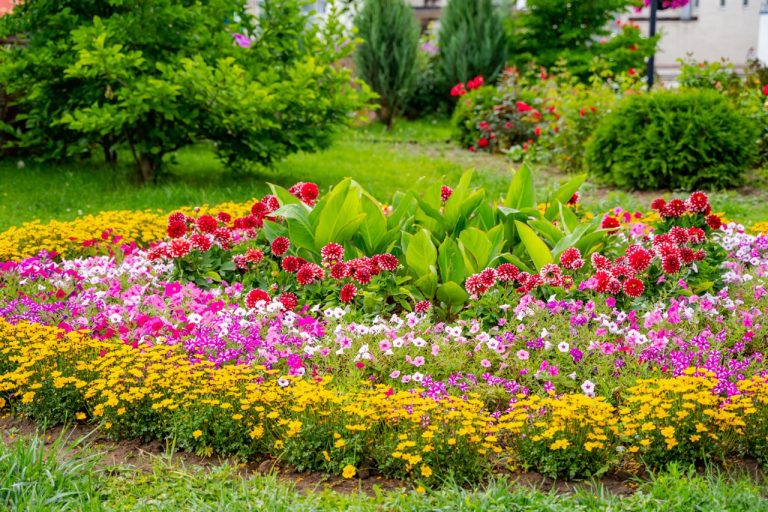 Best May Landscaping Projects to Start Before Summer