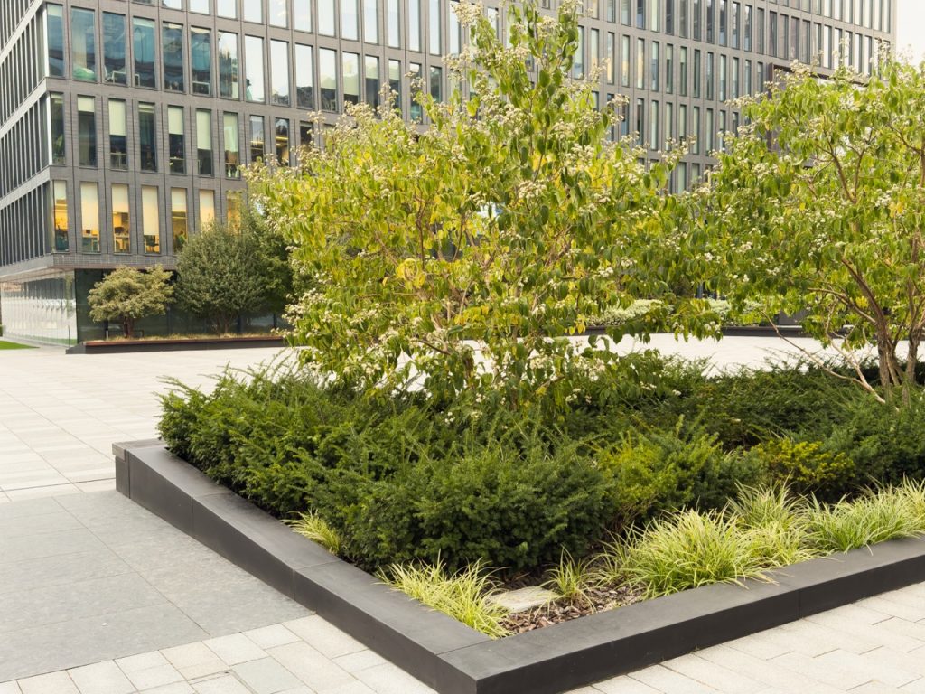 Commercial Landscape