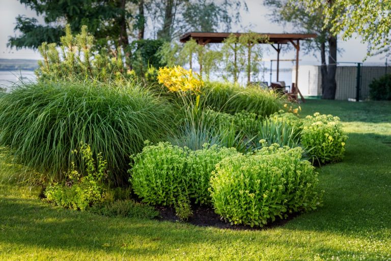 Native Plant Landscaping for Michigan Yards