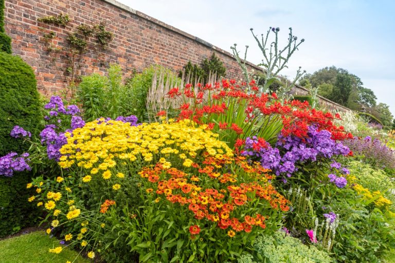 Best Perennials for Southeast Michigan Gardens