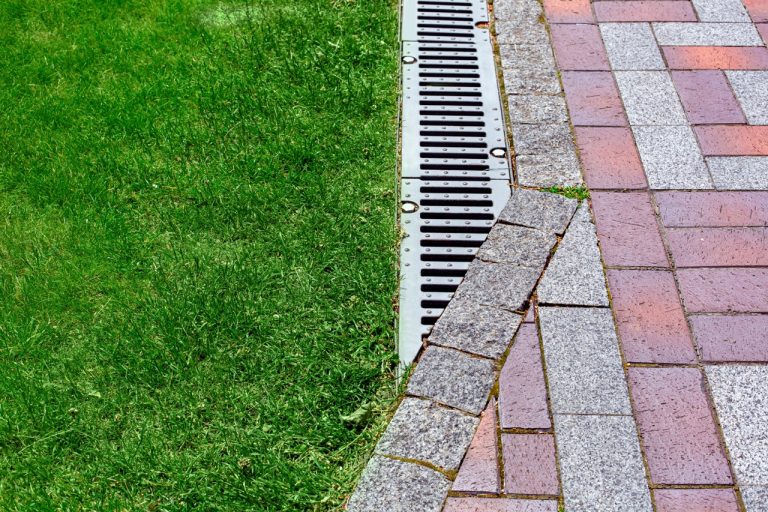 Drainage Solutions for Michigan Yards with Standing Water
