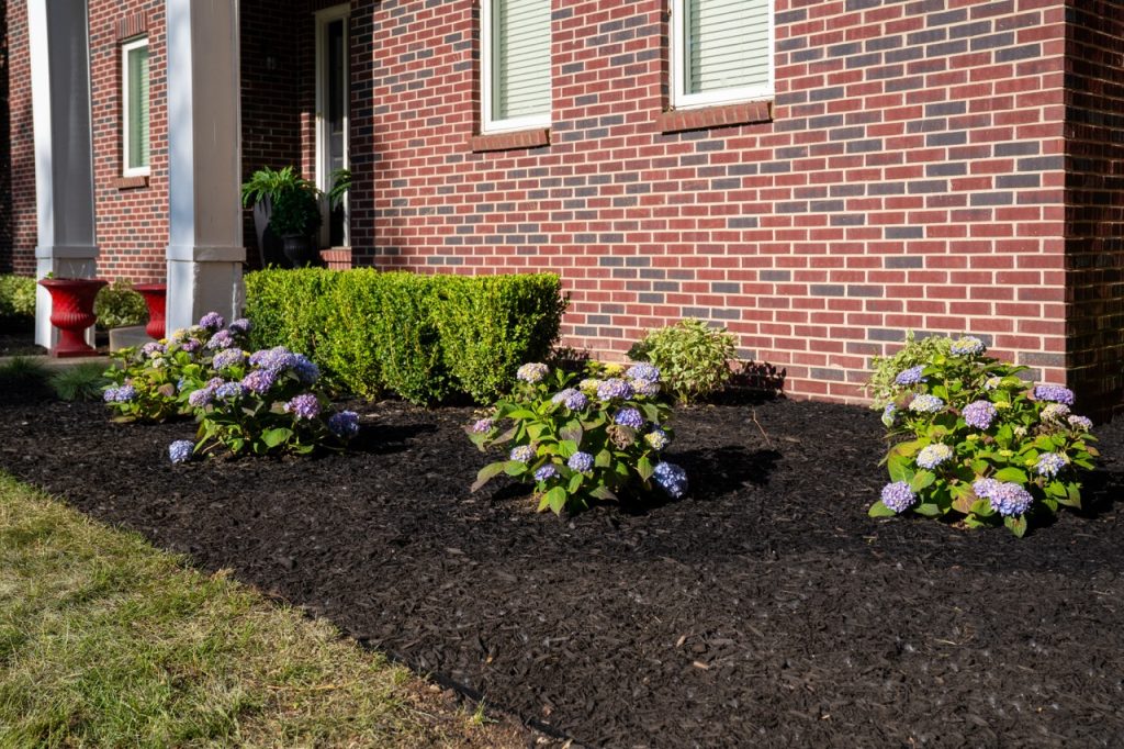 Luxury landscape project from our premium landscape design portfolio.