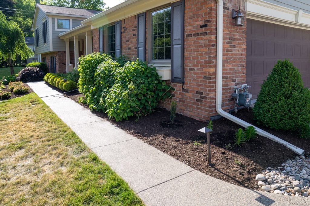Luxury landscape project from our premium landscape design portfolio.