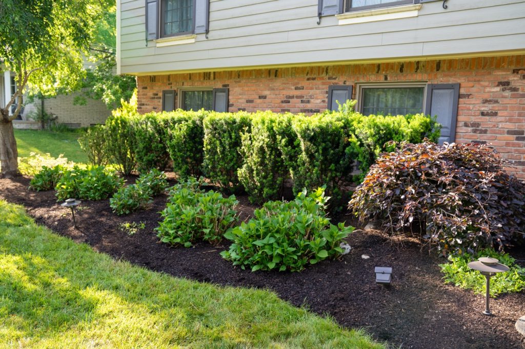Luxury landscape project from our premium landscape design portfolio.