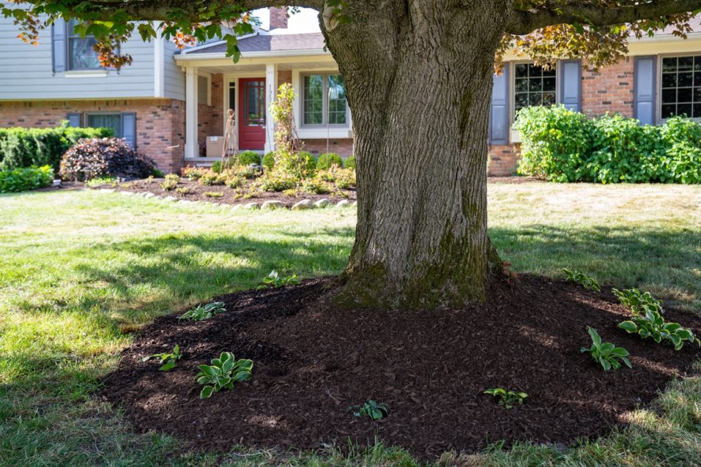 Luxury landscape project from our premium landscape design portfolio.