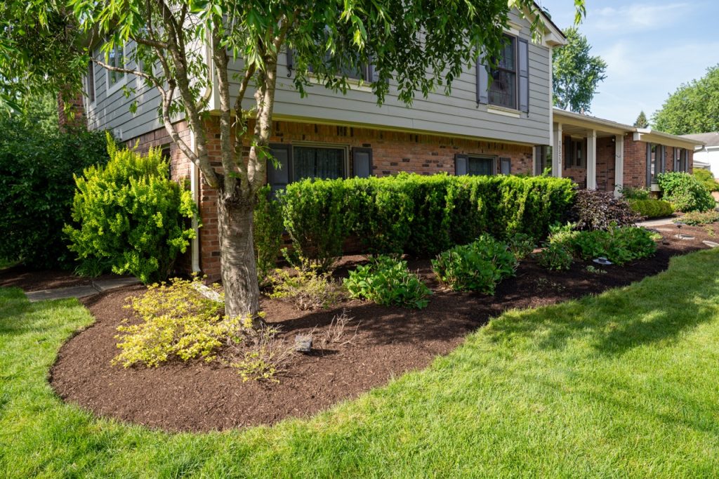 Luxury landscape project from our premium landscape design portfolio.