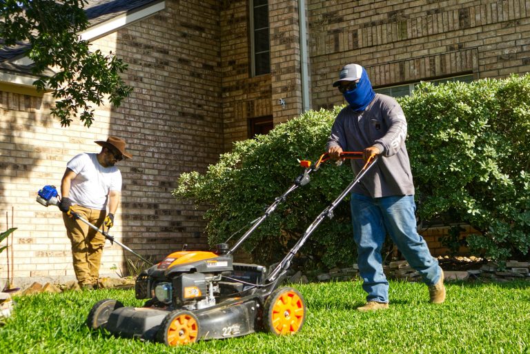 Fall cleanup in Southeast Michigan performed by a professional lawn crew