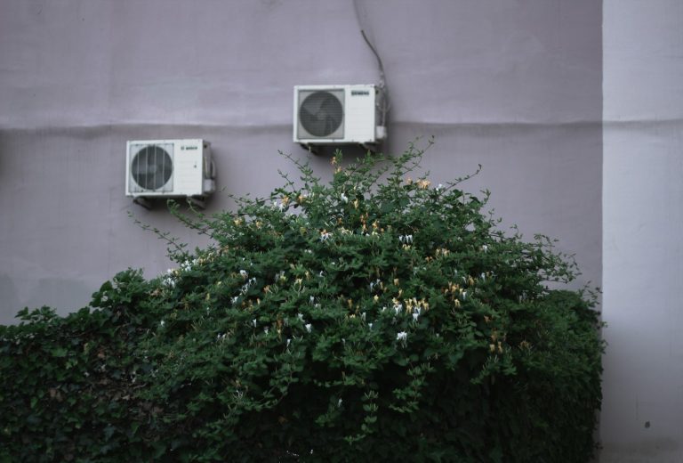 Landscape screening in Metro Detroit with dense green shrubs