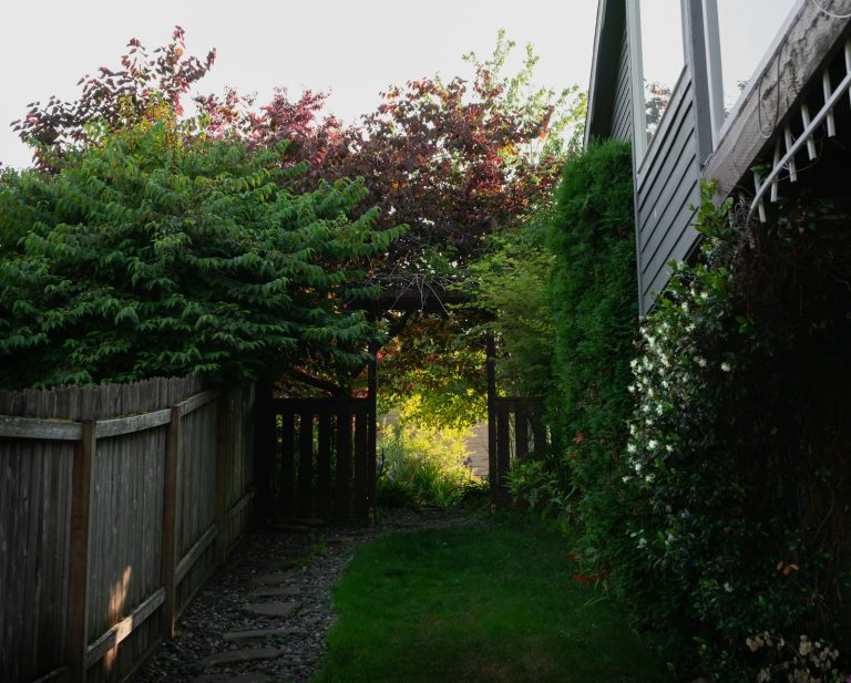 Privacy landscaping in Troy MI with layered evergreen screening