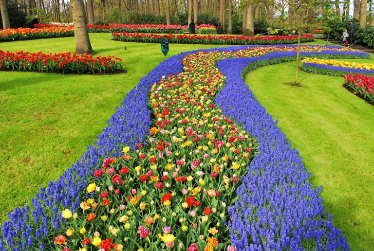 When Should You Start Planning a Spring Landscaping Project?