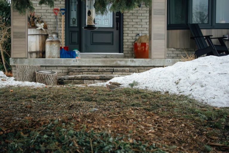 Winter landscape with shrubs and lawn showing yard preparation for Michigan homes