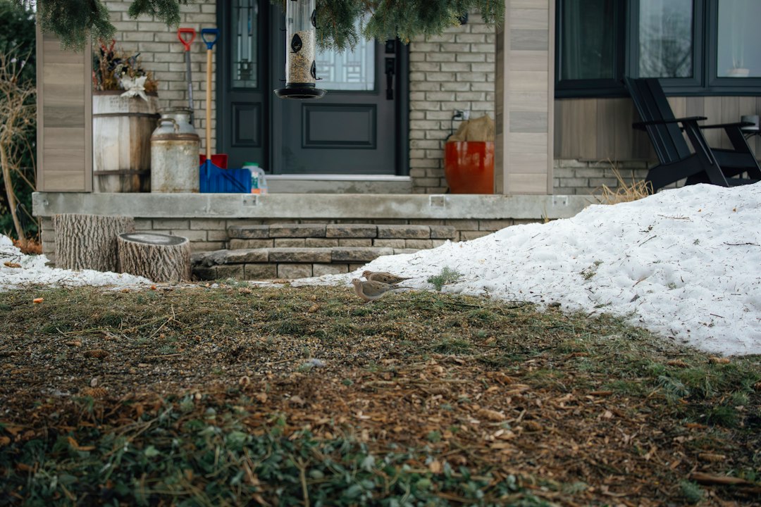 Winter landscape with shrubs and lawn showing yard preparation for Michigan homes