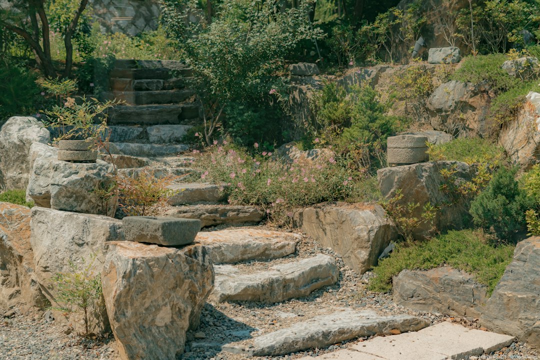 Stone steps and retaining wall in a landscaped sloped garden area